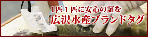 1匹1匹に安心の証を・・・広沢水産ブランドタグ