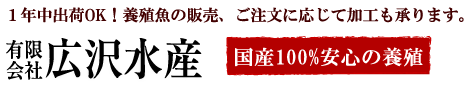 1年中出荷OK！　養殖魚の販売、ご注文に応じて加工も承ります。国産100%安心の養殖です。